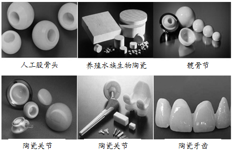 正在進(jìn)入我們身體的生物陶瓷 特種建材的醫(yī)學(xué)新篇章